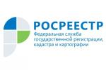 сфере недвижимого имущества